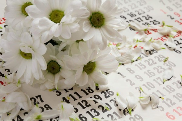 Wie optimiert man das Gepäck für eine Weltreise mit minimalem Gewicht?