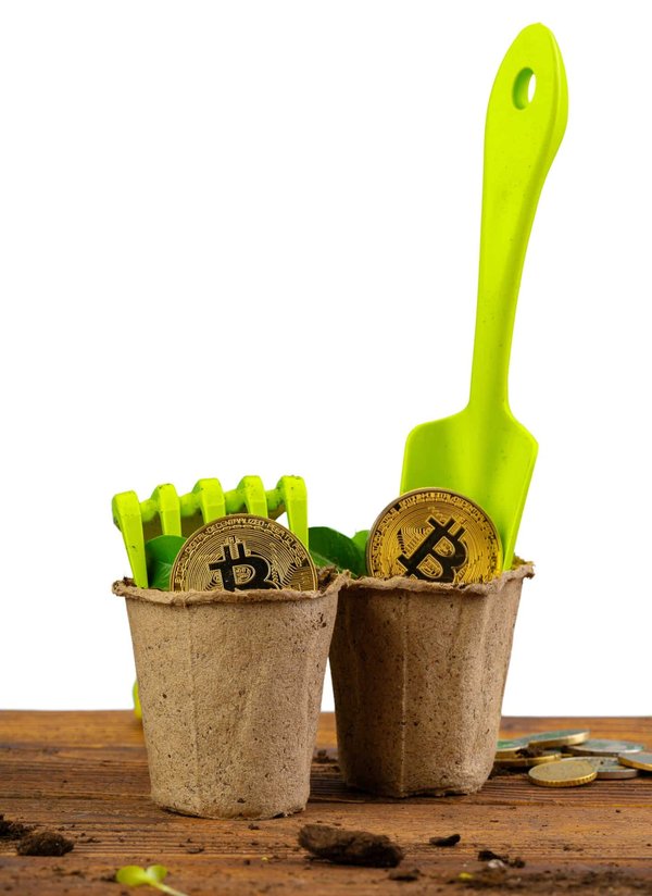 Kann die Nutzung von Blockchain in der Medikamentenlieferkette Fälschungen verhindern?